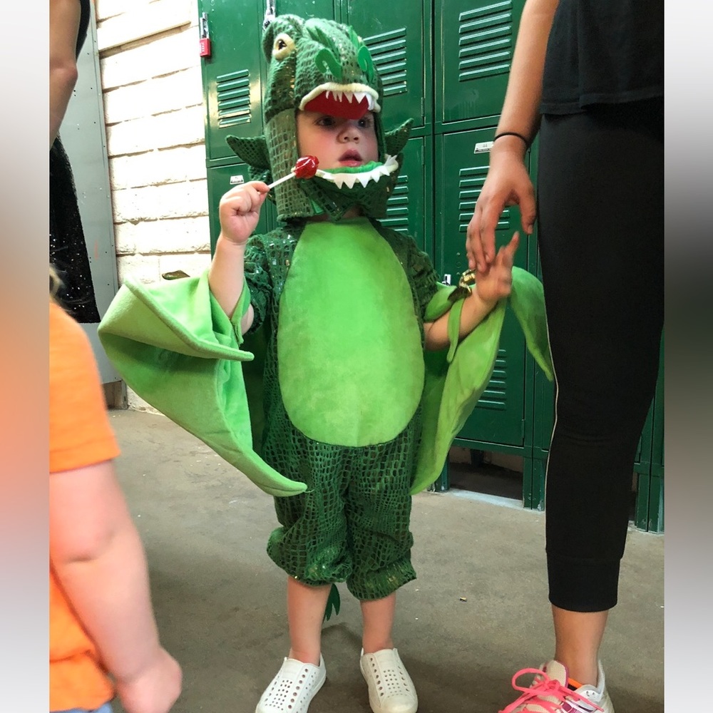 Pottery Barn Kids Halloween Costume- 3T Dragon